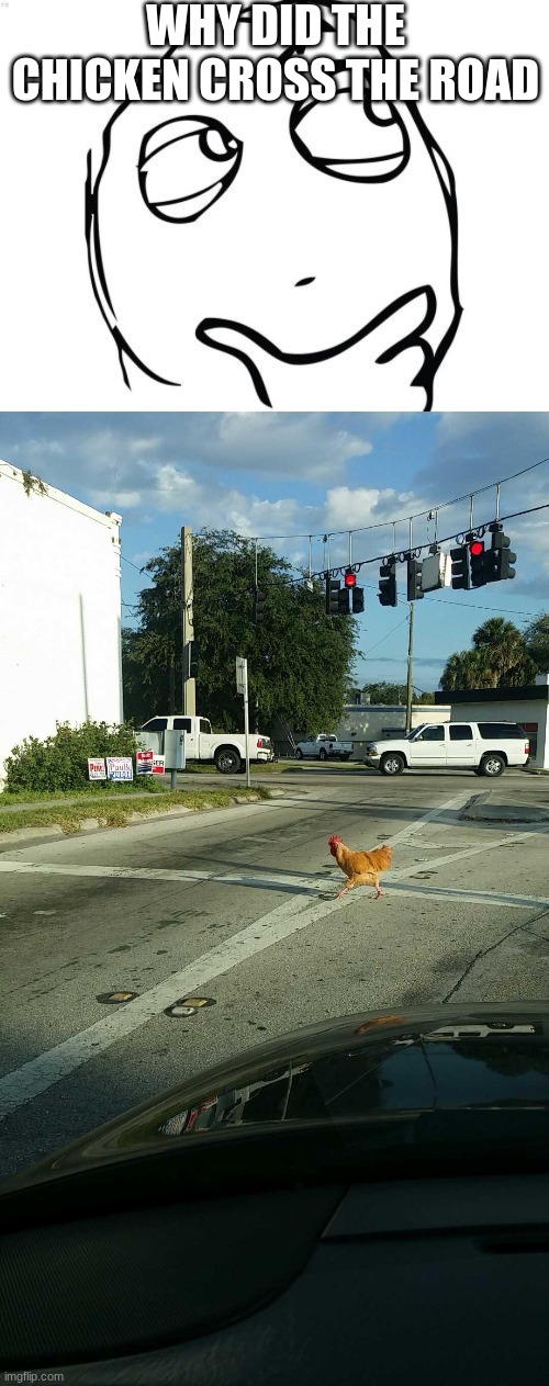 WHY DID THE CHICKEN CROSS THE ROAD | image tagged in memes,question rage face | made w/ Imgflip meme maker