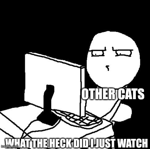 what the hell did I just watch | OTHER CATS WHAT THE HECK DID I JUST WATCH | image tagged in what the hell did i just watch | made w/ Imgflip meme maker