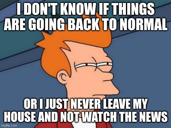 mmmm | I DON'T KNOW IF THINGS ARE GOING BACK TO NORMAL; OR I JUST NEVER LEAVE MY HOUSE AND NOT WATCH THE NEWS | image tagged in memes,futurama fry | made w/ Imgflip meme maker