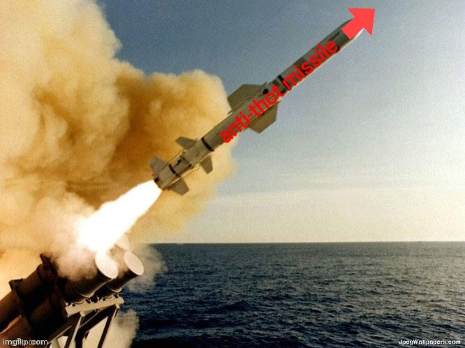 anti-thot missile | image tagged in anti-thot missile | made w/ Imgflip meme maker