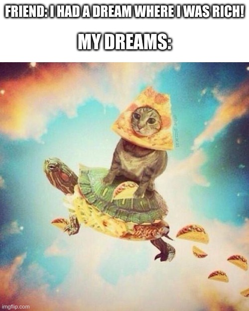 KEEP ON DREAMING | FRIEND: I HAD A DREAM WHERE I WAS RICH! MY DREAMS: | image tagged in space pizza cat turtle tacos,follow your dreams,memes,me irl | made w/ Imgflip meme maker