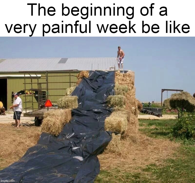 Debating if Jealous or Not | The beginning of a very painful week be like | image tagged in meme,memes,humor | made w/ Imgflip meme maker