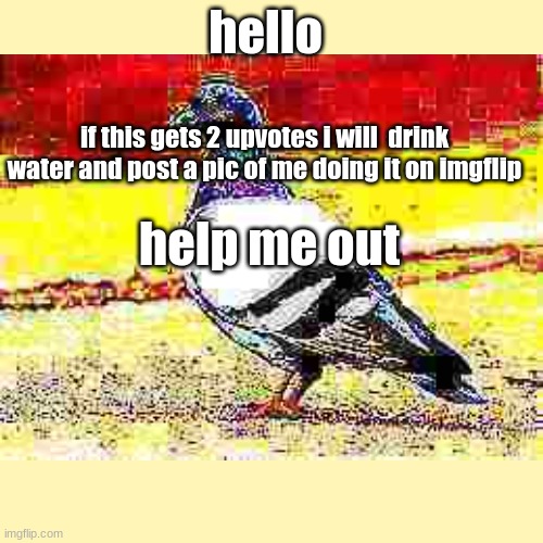 im not tryin to beg ok but i will post it | hello; if this gets 2 upvotes i will  drink water and post a pic of me doing it on imgflip; help me out | image tagged in upvote beggars | made w/ Imgflip meme maker