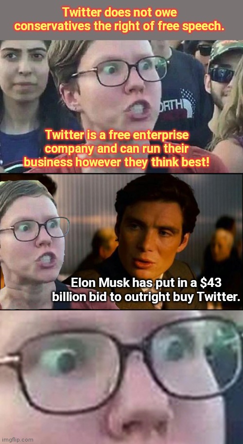 Liberals Twitter defenders | Twitter does not owe conservatives the right of free speech. Twitter is a free enterprise company and can run their business however they think best! Elon Musk has put in a $43 billion bid to outright buy Twitter. | image tagged in inception liberal,twitter,liberal hypocrisy,elon musk,free speech,political humor | made w/ Imgflip meme maker
