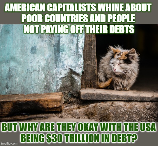 This #lolcat wonders why it's not okay to be in debt, except when you're a millionair or the US government | AMERICAN CAPITALISTS WHINE ABOUT 
POOR COUNTRIES AND PEOPLE 
NOT PAYING OFF THEIR DEBTS; BUT WHY ARE THEY OKAY WITH THE USA
BEING $30 TRILLION IN DEBT? | made w/ Imgflip meme maker