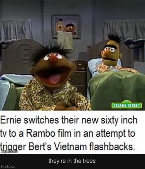 Bert has PSD updated | image tagged in sorry i'm reposting this | made w/ Imgflip meme maker