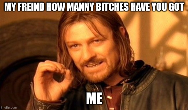 One Does Not Simply | MY FREIND HOW MANNY BITCHES HAVE YOU GOT; ME | image tagged in memes,one does not simply | made w/ Imgflip meme maker