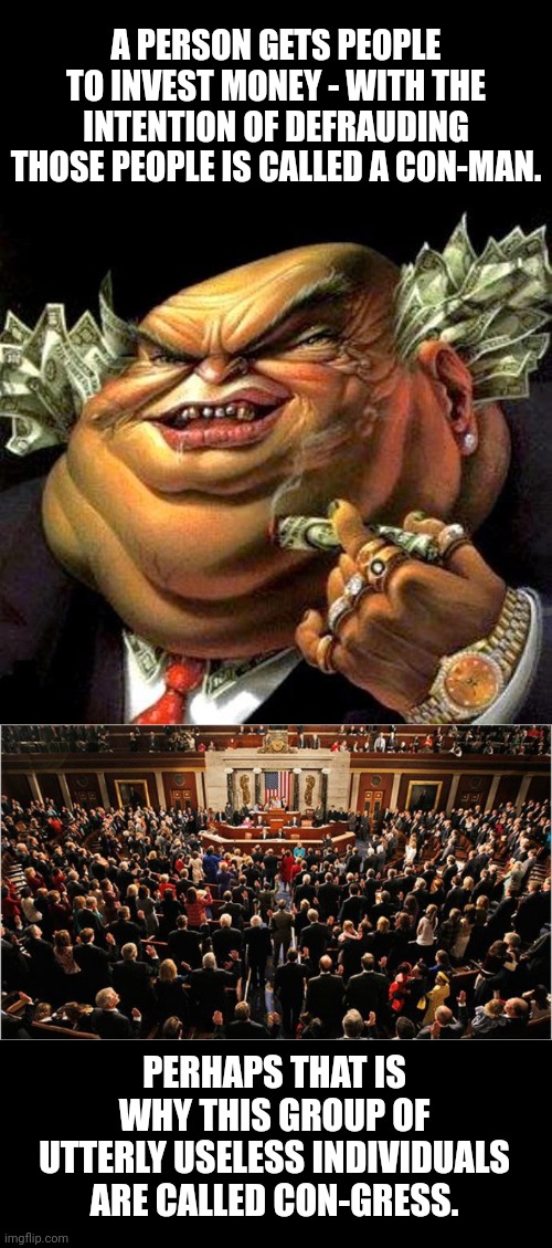 A PERSON GETS PEOPLE TO INVEST MONEY - WITH THE INTENTION OF DEFRAUDING THOSE PEOPLE IS CALLED A CON-MAN. PERHAPS THAT IS WHY THIS GROUP OF UTTERLY USELESS INDIVIDUALS ARE CALLED CON-GRESS. | image tagged in capitalist criminal pig,congress | made w/ Imgflip meme maker