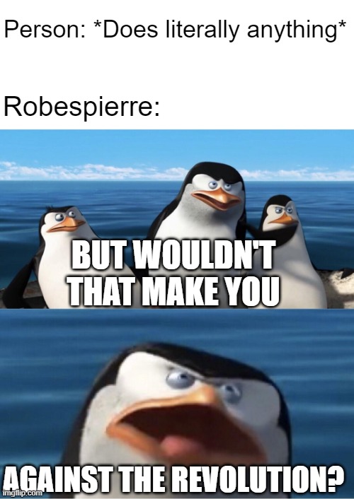 Wouldn't that make you | Person: *Does literally anything*; Robespierre:; BUT WOULDN'T THAT MAKE YOU; AGAINST THE REVOLUTION? | image tagged in wouldn't that make you,history | made w/ Imgflip meme maker