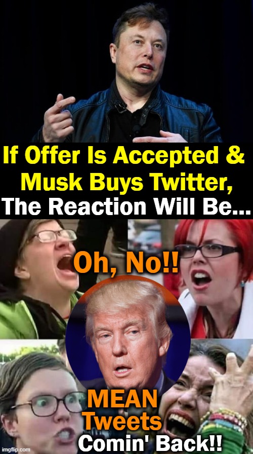 It JUST Dawned On Me. . . . | If Offer Is Accepted & 
Musk Buys Twitter, The Reaction Will Be... Oh, No!! MEAN; Tweets; Comin' Back!! | image tagged in politics,elon musk,twitter,if he buys it,liberals minds explode,mean tweets | made w/ Imgflip meme maker