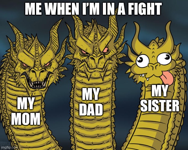 Three-headed Dragon | ME WHEN I’M IN A FIGHT; MY SISTER; MY DAD; MY MOM | image tagged in three-headed dragon | made w/ Imgflip meme maker