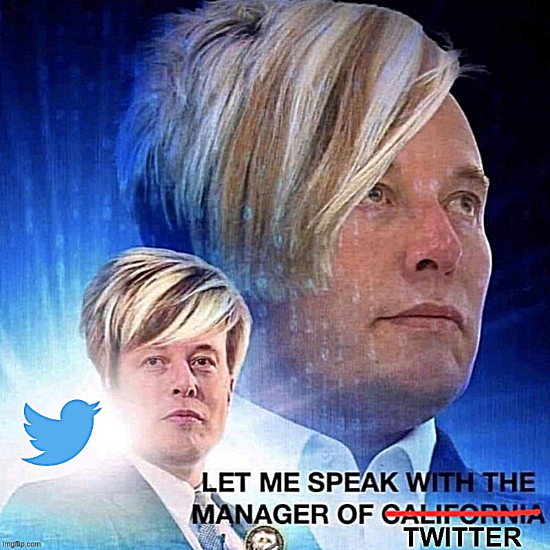 Elon Musk seeks to buy Twitter. I’m sure he knows exactly what he’s doing | image tagged in elon musk twitter karen | made w/ Imgflip meme maker