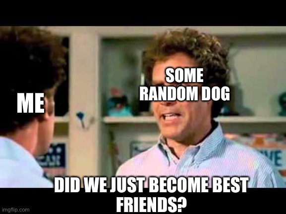 Did We Just Become Best Friends Mustang | SOME RANDOM DOG; ME; DID WE JUST BECOME BEST
FRIENDS? | image tagged in did we just become best friends mustang | made w/ Imgflip meme maker