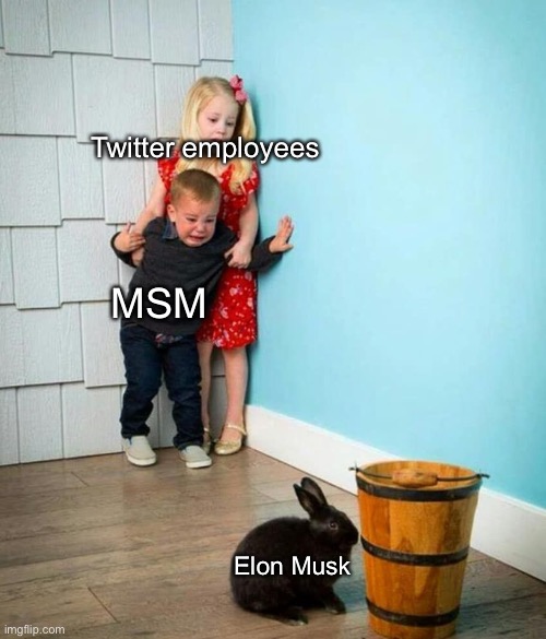 Freedom of speech scares progressives | Twitter employees; MSM; Elon Musk | image tagged in children scared of rabbit,elon musk,politics lol,memes | made w/ Imgflip meme maker