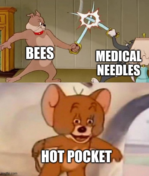 Tom and Jerry swordfight | BEES MEDICAL NEEDLES HOT POCKET | image tagged in tom and jerry swordfight | made w/ Imgflip meme maker