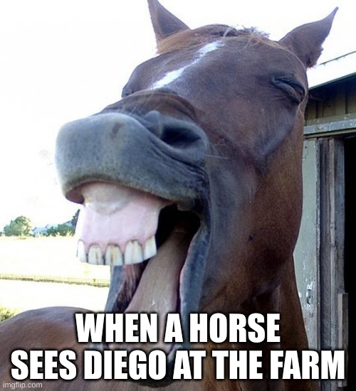 Funny Horse Face | WHEN A HORSE SEES DIEGO AT THE FARM | image tagged in funny horse face | made w/ Imgflip meme maker