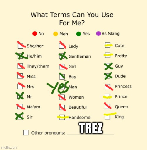 Pronouns Sheet | TREZ | image tagged in pronouns sheet | made w/ Imgflip meme maker