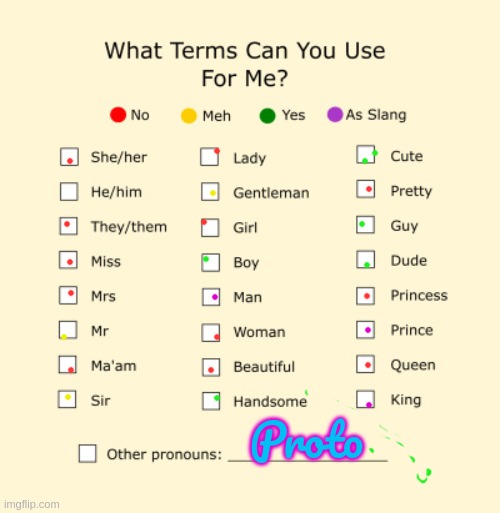 Pronouns Sheet | Proto | image tagged in pronouns sheet | made w/ Imgflip meme maker