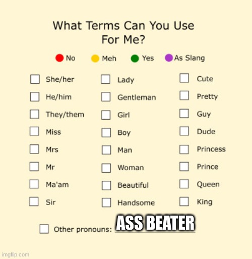 Pronouns Sheet | ASS BEATER | image tagged in pronouns sheet | made w/ Imgflip meme maker