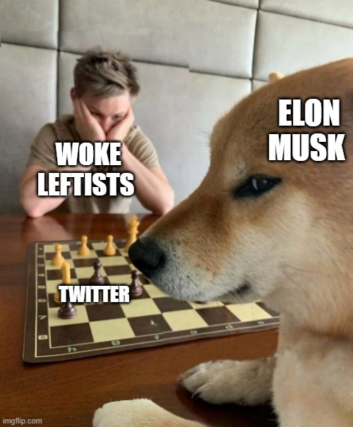 Elon Twitter | ELON MUSK; WOKE LEFTISTS; TWITTER | image tagged in chess doge,twitter,leftists,sjws,elon musk | made w/ Imgflip meme maker