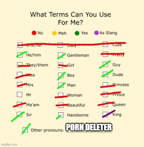 Pronouns Sheet | PORN DELETER | image tagged in pronouns sheet | made w/ Imgflip meme maker