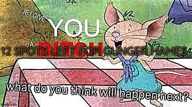If I Give You A Bitch | 12 SPOTS LEFT FOR GUNGER HAMES | image tagged in if i give you a bitch | made w/ Imgflip meme maker