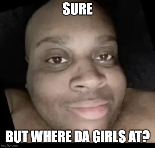 edp bad | SURE; BUT WHERE DA GIRLS AT? | image tagged in edp selfie | made w/ Imgflip meme maker