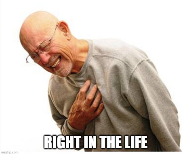 Right in the feels  | RIGHT IN THE LIFE | image tagged in right in the feels | made w/ Imgflip meme maker
