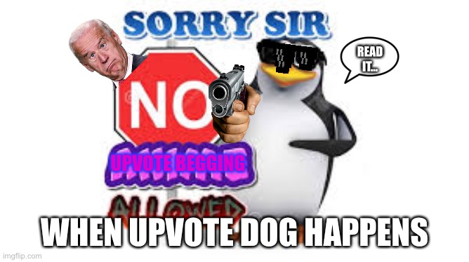 No Upvote dog | READ IT... WHEN UPVOTE DOG HAPPENS | image tagged in no upvote begging sometimes | made w/ Imgflip meme maker