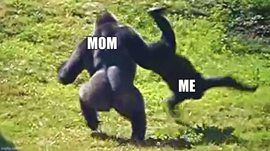 Gorilla flipping gorilla | MOM; ME | image tagged in gorilla flipping gorilla | made w/ Imgflip meme maker