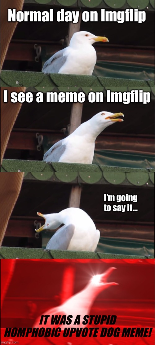 Probably what you’d expect from me. | Normal day on Imgflip; I see a meme on Imgflip; I’m going to say it... IT WAS A STUPID HOMPHOBIC UPVOTE DOG MEME! | image tagged in memes,inhaling seagull | made w/ Imgflip meme maker