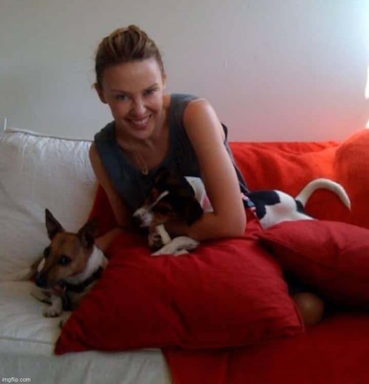 Kylie dogs | image tagged in kylie dogs | made w/ Imgflip meme maker