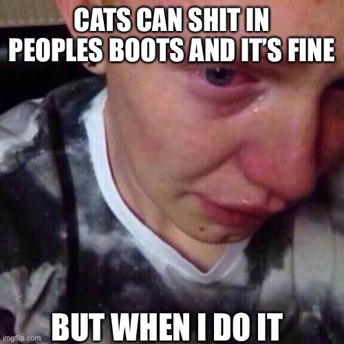 Feel like pure shit | CATS CAN SHIT IN PEOPLES BOOTS AND IT’S FINE; BUT WHEN I DO IT | image tagged in feel like pure shit | made w/ Imgflip meme maker