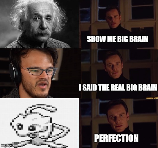 its big brain time | SHOW ME BIG BRAIN; I SAID THE REAL BIG BRAIN; PERFECTION | image tagged in perfection | made w/ Imgflip meme maker