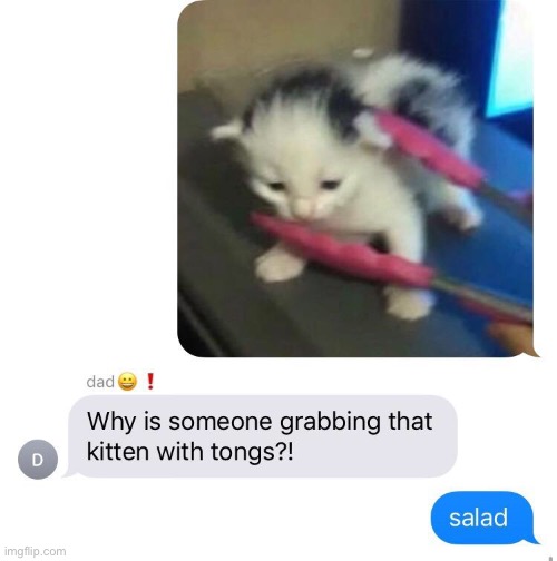 salad | made w/ Imgflip meme maker