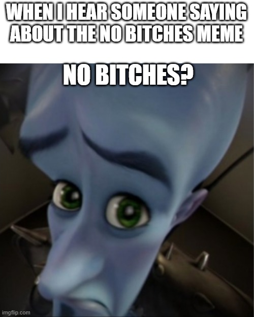 No bitches? | WHEN I HEAR SOMEONE SAYING ABOUT THE NO BITCHES MEME; NO BITCHES? | image tagged in megamind peeking | made w/ Imgflip meme maker