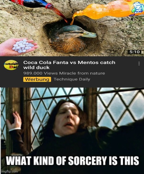 Some kind of sorcery, lol | image tagged in what kind of sorcery is this,coca cola,fanta,memes,wild duck,mentos | made w/ Imgflip meme maker