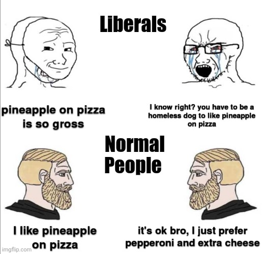 It's like they want you to punch them in the face |  Liberals; Normal
People | image tagged in overreacting,everything,crisis,triggered,constantly | made w/ Imgflip meme maker
