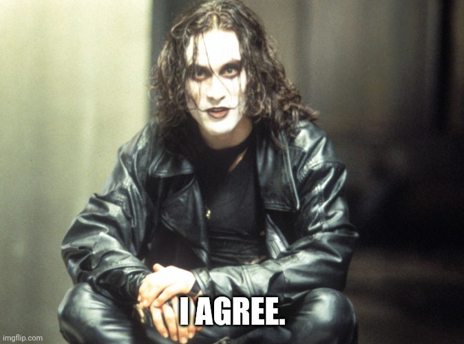 The Crow Brandon Lee | I AGREE. | image tagged in the crow brandon lee | made w/ Imgflip meme maker