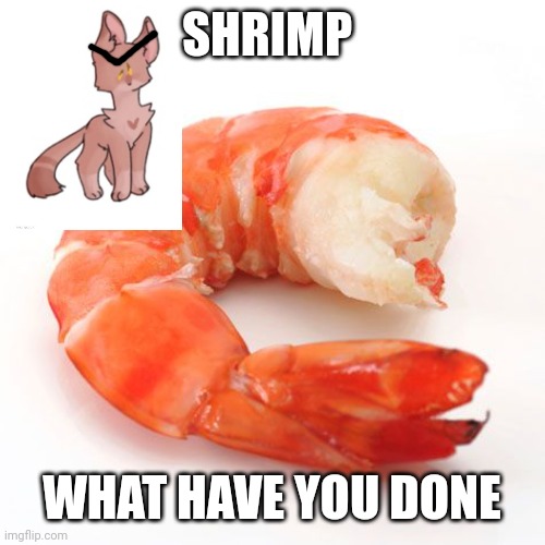 lol i made the picture a pbublic image, now you can add shirmp to your memes withouth needing to download the photo! [For more i | SHRIMP; WHAT HAVE YOU DONE | image tagged in shrimp no head | made w/ Imgflip meme maker