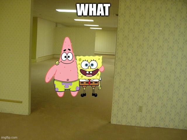 What | WHAT | image tagged in the backrooms,patrick,spongebob,what | made w/ Imgflip meme maker