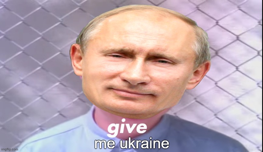 stop this madness | me ukraine | image tagged in putin | made w/ Imgflip meme maker