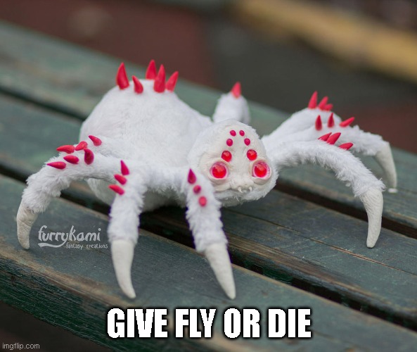 give fly or die | GIVE FLY OR DIE | image tagged in albino spider | made w/ Imgflip meme maker