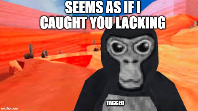 gorilla tag | SEEMS AS IF I CAUGHT YOU LACKING; TAGGED | image tagged in gorilla tag | made w/ Imgflip meme maker