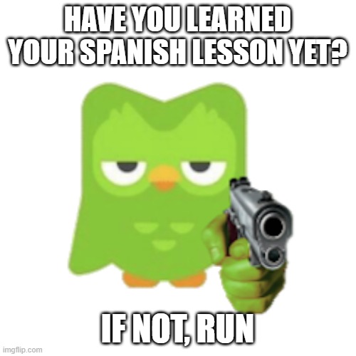 Duolingo | HAVE YOU LEARNED YOUR SPANISH LESSON YET? IF NOT, RUN | image tagged in duolingo | made w/ Imgflip meme maker