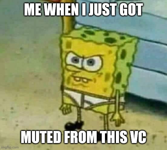 Discord meme for u to use | ME WHEN I JUST GOT; MUTED FROM THIS VC | image tagged in mad spongebob,discord,funny memes | made w/ Imgflip meme maker