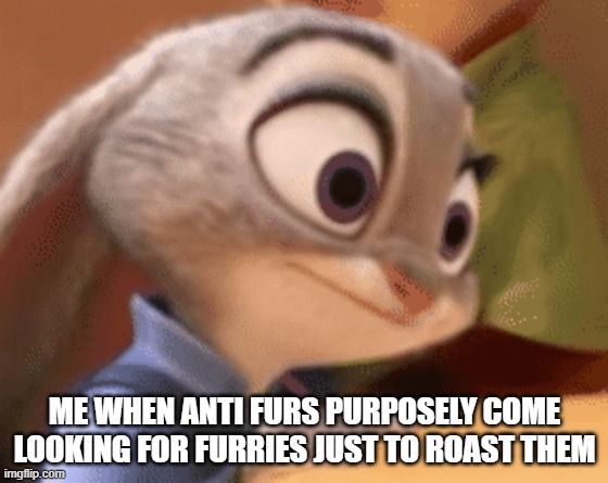 my face | ME WHEN ANTI FURS PURPOSELY COME LOOKING FOR FURRIES JUST TO ROAST THEM | image tagged in zootopia,judy hopps,funny,memes,meme | made w/ Imgflip meme maker