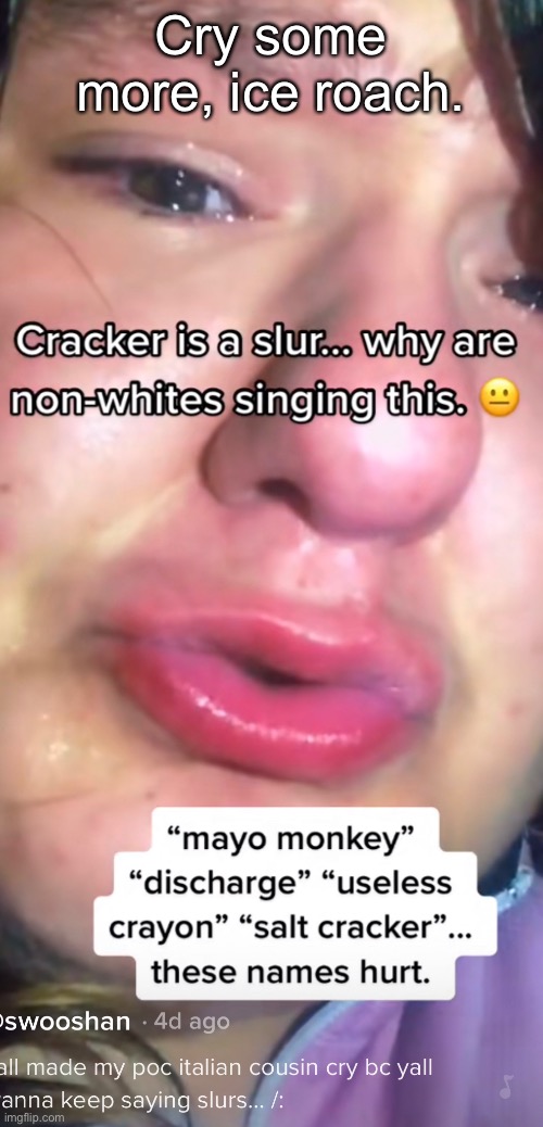 Cry some more, ice roach. | made w/ Imgflip meme maker