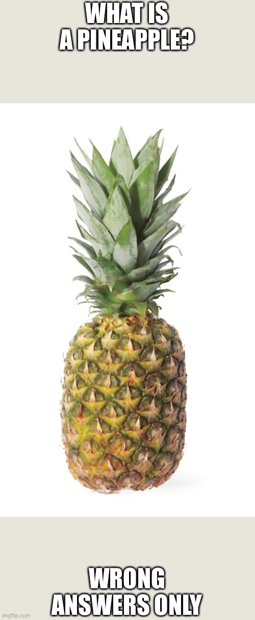 ;) | WHAT IS A PINEAPPLE? WRONG ANSWERS ONLY | image tagged in memes,pineapple,question | made w/ Imgflip meme maker