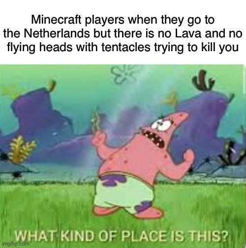Patrick what kind of place is this? | Minecraft players when they go to the Netherlands but there is no Lava and no flying heads with tentacles trying to kill you | image tagged in patrick what kind of place is this | made w/ Imgflip meme maker